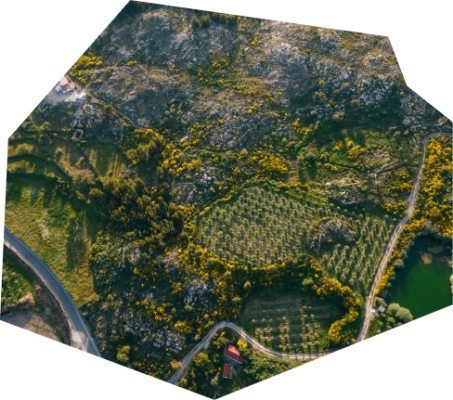 Registo Gratuito dos prédios Rústico no BUPi