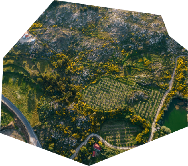 Registo Gratuito dos prédios Rústico no BUPi