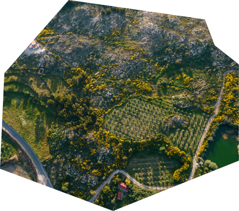 Registo Gratuito dos prédios Rústico no BUPi